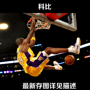 自考的学历证书可以考公务员吗